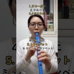 11種類の管楽器の音が出せる電子リコーダー #リコーダー #recorder #吹奏楽