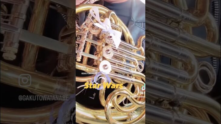 star wars horn Solo ホルンソロ #frenchhorn #horn#starwars #orchestra #吹奏楽#ホルン#吹奏楽部 #オーケストラ#スターウォーズ