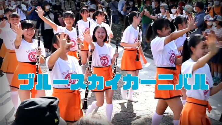 🍊ブルースカイ  カーニバル🍮