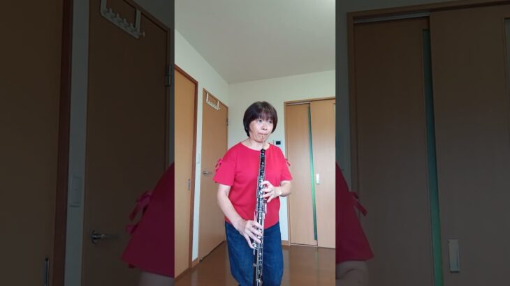 #When I’m 64 #イングリッシュホルンで吹いてみた #englishhorn #オーボエ #oboe #吹奏楽 #ビートルズカバー #beatles