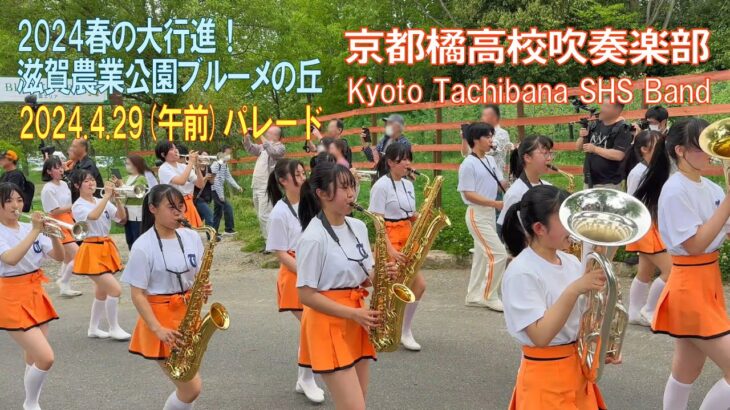 京都橘高校吹奏楽部 ブルーメの丘パレード2024.4.29(午前) Kyoto Tachibana SHS Band