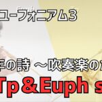 【響け！ユーフォニアム３】オーディション　一年の詩～soliパート吹いてみた