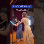 【甲子園で聴くやつ】エルクンバンチェロ #甲子園 #吹奏楽 #フルート