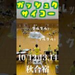【2024秋合宿】虫っぽさ増したよ🦗 #marching #マーチング #toyotaillusionmagic #toyota #豊田 #吹奏楽 #マーチング全国大会 #ダンス
