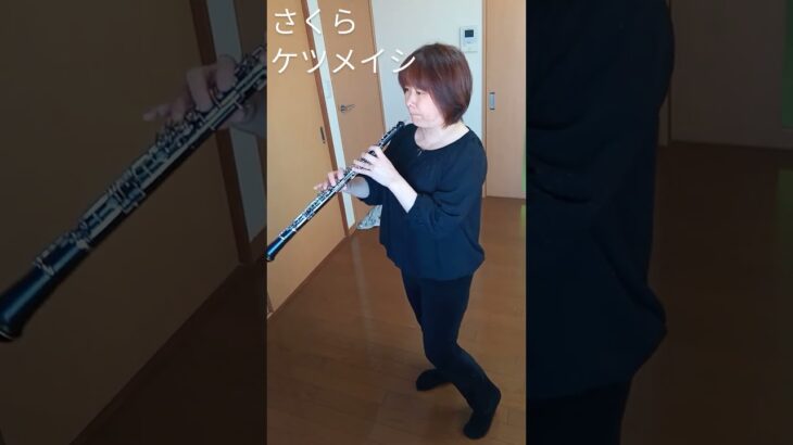 【oboe】#さくら #オーボエで吹いてみた #ケツメイシカバー #吹奏楽