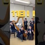 【昭和ブラス定期演奏会まであと11日！】　　　#高校生 #吹奏楽 #吹奏楽部 #定期演奏会 #ハープ #harp #都立昭和 #昭和ブラス