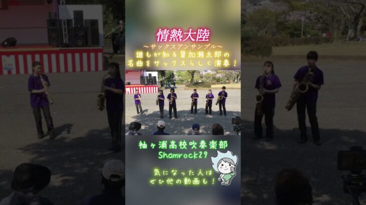 【サックス】誰もが知る葉加瀬太郎の名曲をサックスらしく演奏！『情熱大陸』〜Shamrock29〜 #shorts