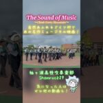 【マーチング】自然あふれるドイツ村であの名作ミュージカル映画！『The Sound of Music』〜Shamrock29〜 #shorts