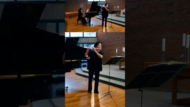 グラナドス : アンダルーサ スペイン舞曲第5番 E.Granados : Andaluza Danza Espanola No.5 #shorts #フルート演奏  #吹奏楽