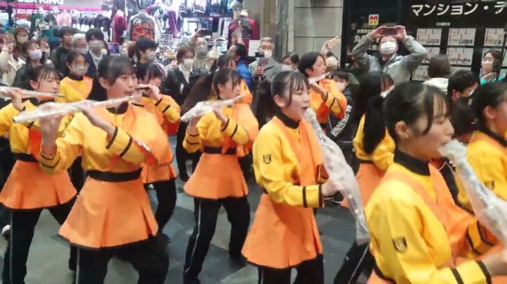 京都橘高校吹奏楽部　さくらパレード2023　Kyoto Tachibana SHS Band