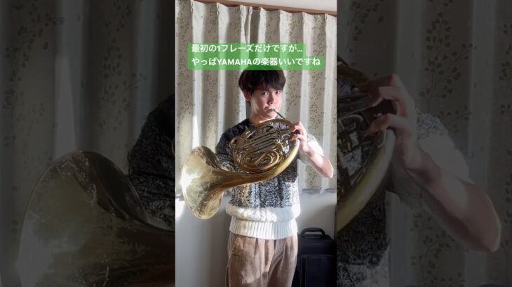 チャイコフスキー「交響曲第5番」