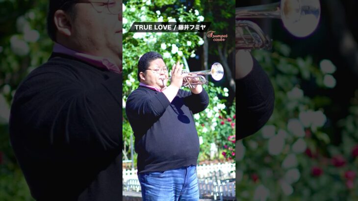 【トランペット】 TRUE LOVE / 藤井フミヤ #trumpet #トランペット #truelove #藤井フミヤ