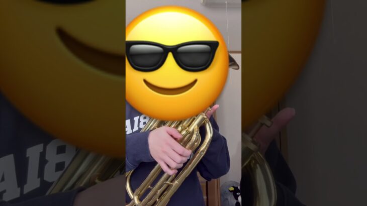 【baritone horn】YAMAHA YBH-201 baritone horn #baritonehorn #バリトンホルン #吹奏楽