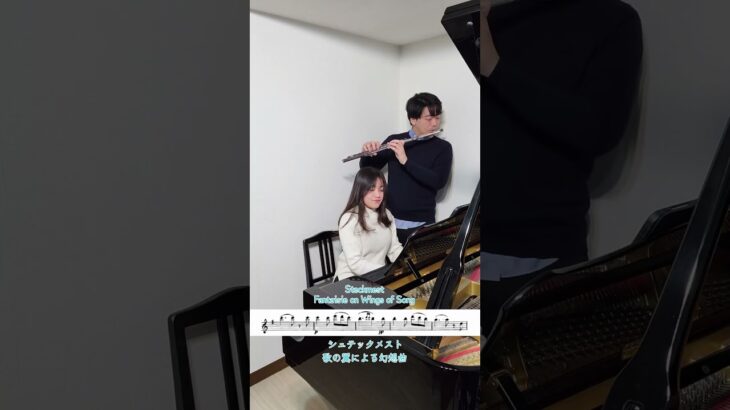 シュテックメスト/歌の翼による幻想曲 #吹奏楽 #フルート #flute