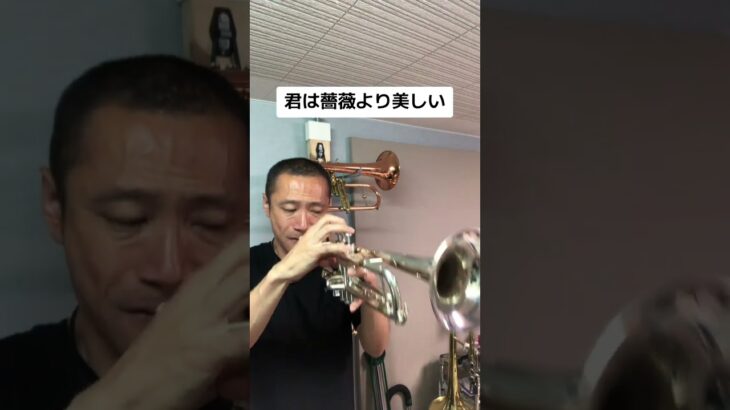 #trumpet #吹奏楽 #布施明 #歌謡曲 #ハイノート