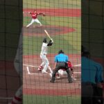 【美爆音】習志野高校吹奏楽　 西川史礁　応援歌　千葉ロッテマリーンズ