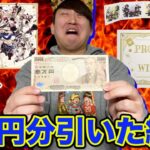 【一番くじ】魔法使いの約束！まさかの大事件発生？1万円で推しを狙ったらヤバすぎた。（一番くじ、一番賞、魔法使いの約束）