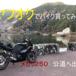 ヤフオクで動かないバイクを買ってみた！　（メガリ２５０） パート3