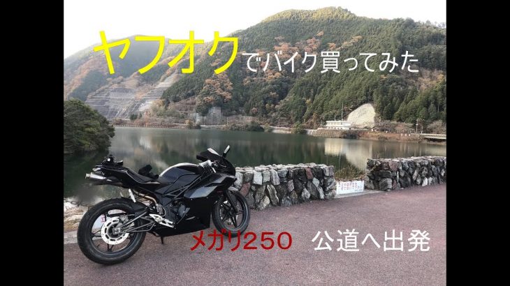 ヤフオクで動かないバイクを買ってみた！　（メガリ２５０） パート3