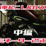 エリミネーター250SE素人レストア中編