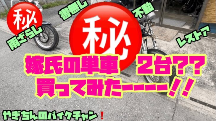 【嫁の旧車】kawasakiの名車をレストア⁉️ バイク女子