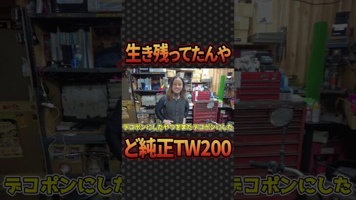 【希少】ど純正TW200をレストア①