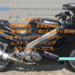 カワサキ   ZZR250   EX250H   実働   書類付き   吹け上がり良好   ツキギレーシング  マフラー  レストア  ツーリング  カスタムベースにも