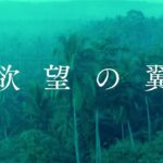 レスリー・チャン、マギー・チャンら共演『欲望の翼』4Kレストア版【2023年12月8日公開】