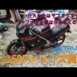 RG250Γレストアします！（ヤフオク購入の新シリーズ）