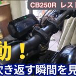 【CB250R #5】絶望からの逆転！燃料ポンプ交換でCB250Rが目を覚ました！【レストア】