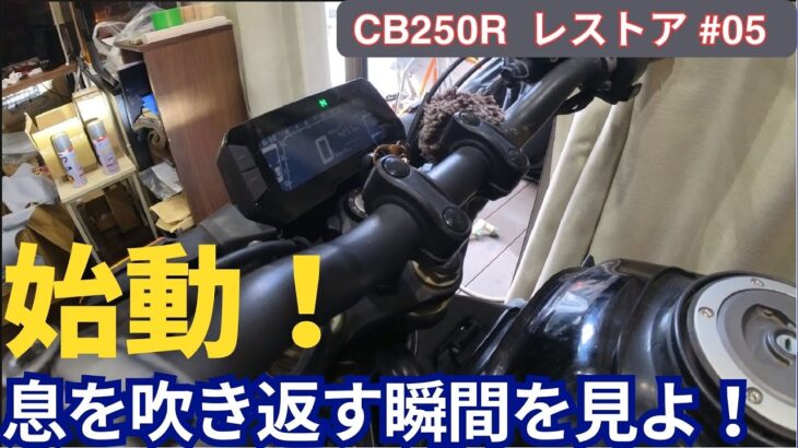 【CB250R #5】絶望からの逆転！燃料ポンプ交換でCB250Rが目を覚ました！【レストア】