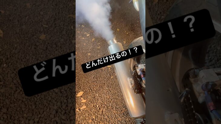 欠品バリオス白煙番長だった #バリオス #バイク #レストア #不動車 #復活 #白煙 #まいるどバイク