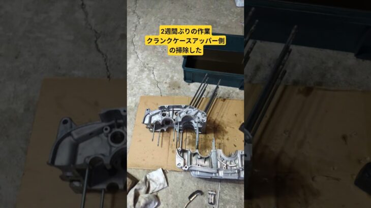 2週間ぶりのの作業 #shortsCB72 #バイクレストア #ホンダドリーム