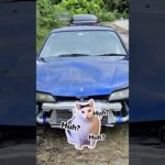 ボロボロのS15を丸ごとレストアした結果…🟣【ミッドナイトパープル】 We restored this entire S15 — full teardown to Midnight Purple