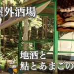 【鮎の塩焼き】ぼっち女のソロキャンプ 【日本酒】Grilled river fish and sake [Women’s solo camp]