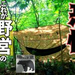 【野営】ツキノワグマが生息する山奥で野営してみたら想像を絶する恐怖が待っていた・・・【ソロキャンプ】