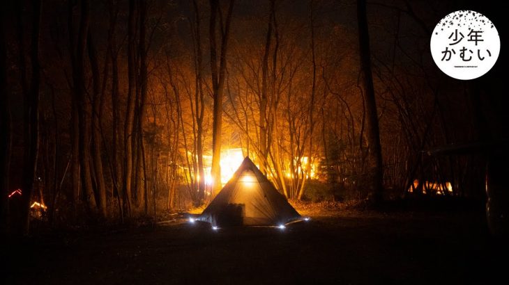 寒い夜、星の森で月透るクリスマスキャンプ。【冬ソロキャンプ】