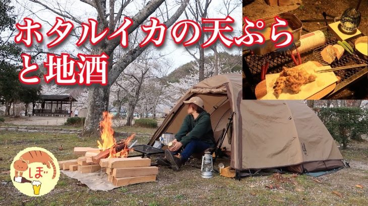 【ホタルイカの天ぷら】ぼっち女のソロキャンプ 【地酒】Firefly squid tempura and sake[Women’s solo camp]