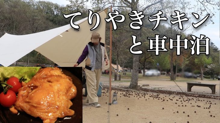 【てりやきチキン】ぼっち女のソロキャンプ 【車中泊】Teriyaki chicken and van-dwelling[Women’s solo camp]