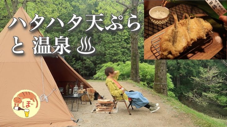 【ハタハタ天ぷら】ぼっち女のソロキャンプ 【日本酒】Hot springs and tempura[Women’s solo camp]