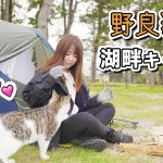 思わぬ訪問者！超絶甘えん坊の野良猫が可愛すぎた【徒歩キャンプ女子】(4K)[字幕]琵琶湖/知内浜オートキャンプ場/キャンプ/キャンプ女子/ソロキャンプ/女子ソロキャンプ/電車バス移動/バックパック