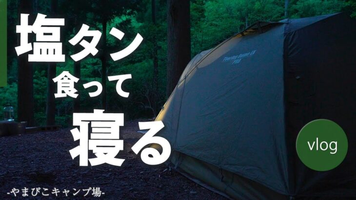 【ソロキャンプ】20代男性が一晩テントで泊まる場合  -三河湖やまびこキャンプ場-
