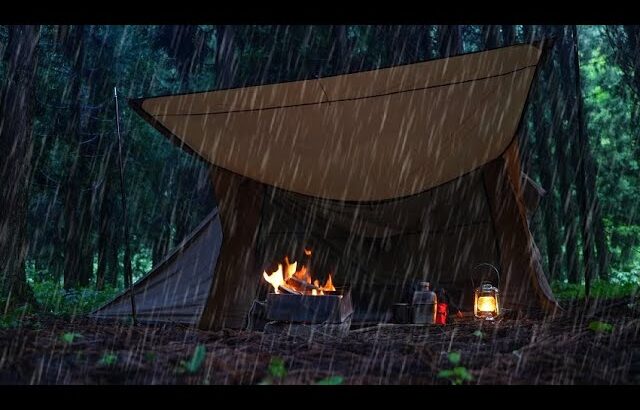 新しいテントで土砂降りのソロキャンプ POMOLY STOVEHUT70
