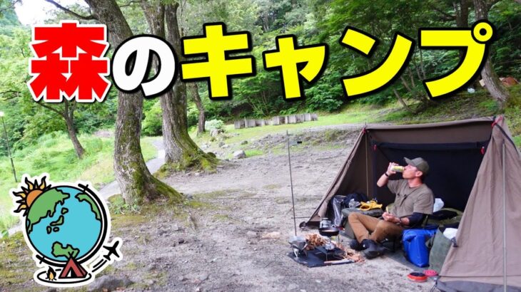 【ソロキャンプ】真夏の森の中⛺焚き火とレモンサワーで乾杯🍺