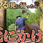 【ソロキャンプ】乱舞する蛍の中でダチョウの肉を食べていたら三途の川を渡りかけたソロキャンプ【昆布焼酎】【脱腸】【シーズニング】【ヘッドライト】【熱中症】【ほたる見公園キャンプ場】