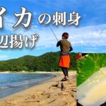 【白イカの刺身】ぼっち女の釣りソロキャンプ 【キス天ぷら】Squid Sashimi, Fishing and Camping[Japanese style izakaya at camp]