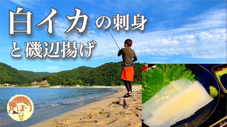 【白イカの刺身】ぼっち女の釣りソロキャンプ 【キス天ぷら】Squid Sashimi, Fishing and Camping[Japanese style izakaya at camp]