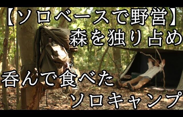 【ソロベースで野営】呑んで食べたソロキャンプ【完ソロ、森を独り占め】