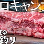 【ソロキャンプ】焚火で分厚い和牛ステーキ！ジントニック【大人ソロキャンプ】