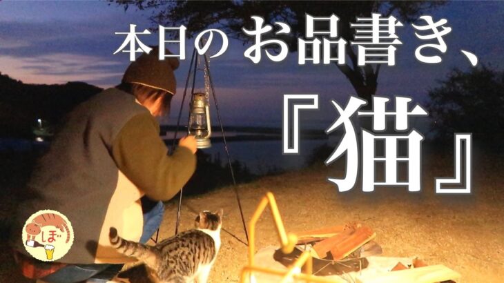 【独り言の多い】ぼっち女の猫キャンプ 【コブダイ】Cats, Fishing, and Snapper[Japanese style izakaya at camp]